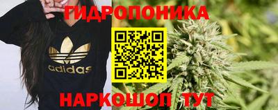 шишки Можайск