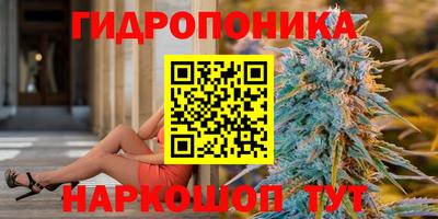 шишки Можайск