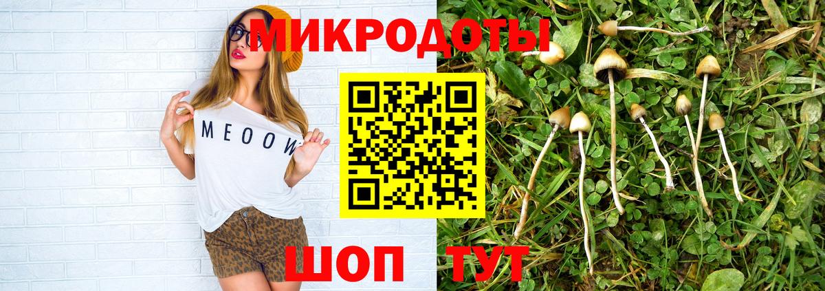 Галлюциногенные грибы Cubensis Воркута